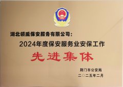 喜報(bào)！領(lǐng)威保安榮獲“2024年度保安服務(wù)業(yè)安保工